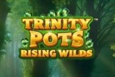 Trinity Pots Rising Wilds™