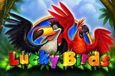Lucky Birds