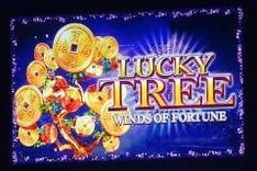 Lucky Tree Winds of Fortune