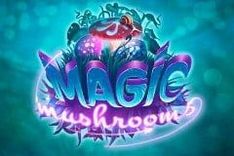 Magic Mushrooms