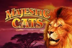 Majestic Cats