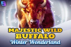 Majestic Wild Buffalo - Winter Wonderland