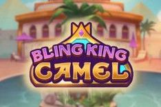 Bling King Camel