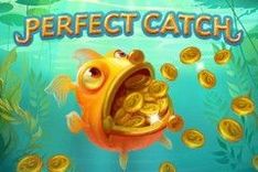 Perfect Catch