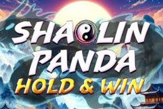 Shaolin Panda: Hold & Win