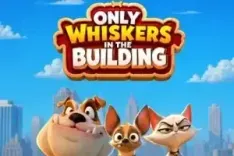 Only Whiskers in the Building
