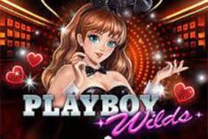 Playboy Wilds