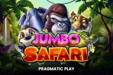 Jumbo Safari