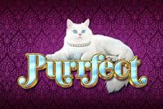 Purrfect