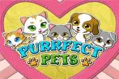 Purrfect Pets