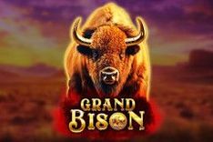 Grand Bison