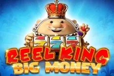 Reel King Big Money