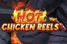 Hot Chicken Reels