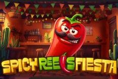 Spicy Reels Fiesta