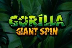 Gorilla Giant Spin