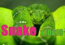 Snake