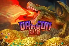 Dragon Run