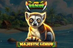 Majestic Lemur