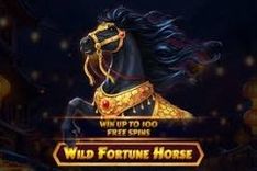 Wild Fortune Horse