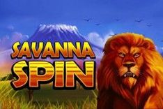 Savanna Spin