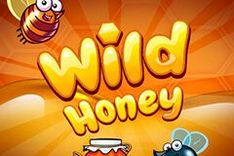 Wild Honey