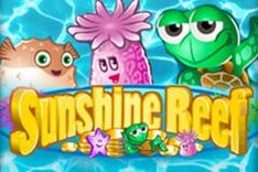 Sunshine Reef