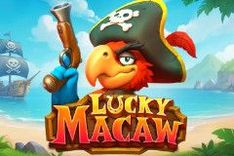 Lucky Macaw