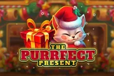 The Purrfect Present