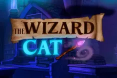 The Wizard Cat