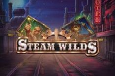 Steam Wilds