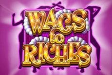 Wags To Riches
