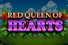 Red Queen of Hearts