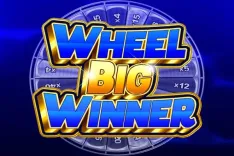 Wheel Big Winner