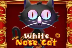 White Nose Cat