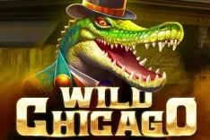 Wild Chicago