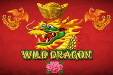 Wild Dragon