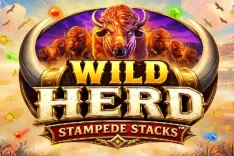 Wild Herd Stampede Stacks™