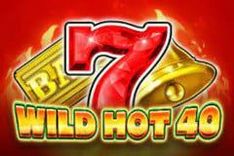 Wild Hot 40