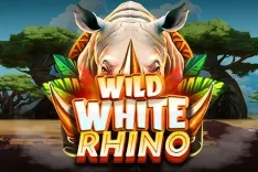Wild White Rhino