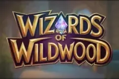 Wizards of Wild Wood