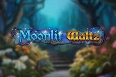 Moonlit Waltz