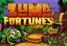 Zuma Fortunes