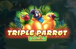 Triple Parrot