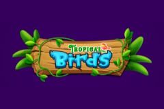 Mplay Games