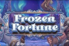 Frozen Fortune