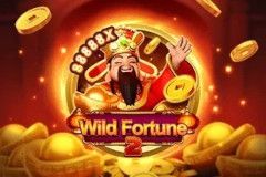 Wild Fortune 2
