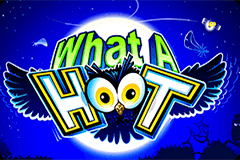 What a Hoot