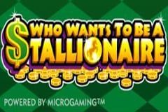 Who Wants to be a Stallionaire