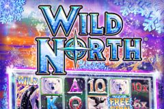 Wild North