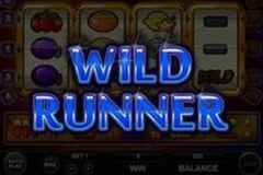 Omni Slots
